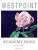 Academy Rose